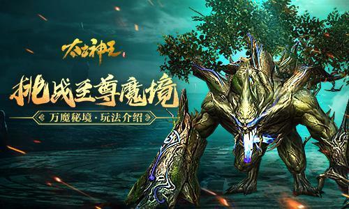 请出示文件